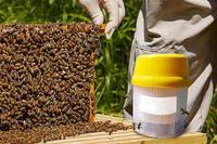 Bouteille de test de la varroa en plastique, outil d'apiculture pour la détection des acariens de la varroa, outils d'apiculture