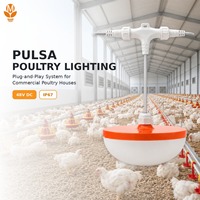 Peralatan Pencahayaan LED Peternakan Unggas 48V DC Konektor Cepat Peredupan 0-100% Tahan Air IP67 untuk Kandang Ayam Peternakan