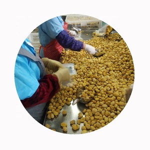 Geschälte, gekochte ganze Kastanien (Castanea Mollissima) – IQF gefroren, chinesische Naturprodukte, A-Qualität, 10 kg, Großhandelspreis - Product Image 5