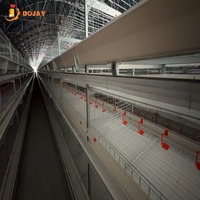 Système de cages d'élevage de poulets de type H, équipement avicole en acier galvanisé à chaud, fabricant