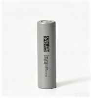 Batterie 18650 32E pour Power Bank, cellule rechargeable haute capacité 3,7 V 3200 mAh, anode LiNiMnCoO2, taux de décharge 3C