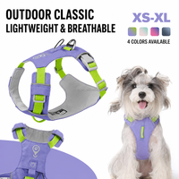 Ensemble de harnais et de laisse réglables pour chien avec laisse de 2,2 m, harnais de promenade rembourré léger pour chiens de petite et moyenne taille, XS-XL