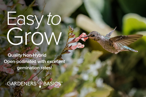 5แพ็คความหลากหลายการปลูกกลางแจ้ง semences ดอกไม้ป่าที่น่าสนใจสำหรับผึ้งผสมเกสร zinnia <span class=keywords><strong>ผักบุ้ง</strong></span> snapdragons-สำหรับกระถาง - Product Image 4