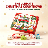 Cadeau de Noël : Calendrier de l'Avent 24 Jours avec Jouets Squishy en Forme de Raviolis, Boîte Mystère Surprise, Jouets Anti-Stress à Presser pour Enfants, Compte à Rebours des Fêtes