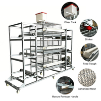 Nouveau système de cage à étages de type H haute densité, alimentation/abreuvement automatiques, collecte des œufs, 3-4 niveaux, 96-128 oiseaux, volaille en acier galvanisé