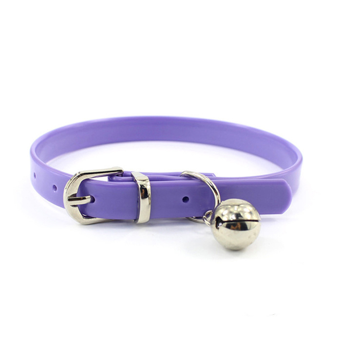 Violet avec cloche en argent