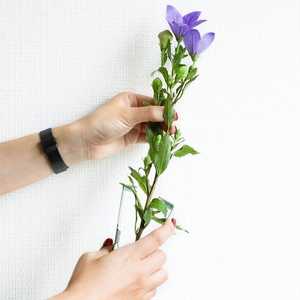 Erb Lead Leaf OSE se tritripper emoemove Horn cuerno lower inferior rangement oools - Product Image 4