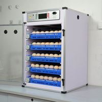 Incubateur automatique à double alimentation, directement de l'usine - Capacité de 204 œufs pour l'éclosion de volailles (poulets, canards, oies, dindes)