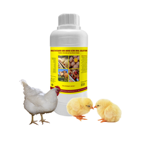Miracle Aminovitamine Plus Bétail Ovins Bovins Électrolyte Vitamine C Supplément pour Améliorer l'Immunité des Volailles et du Bétail