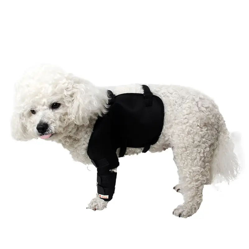 Crochet de soutien arrière pour chiens, enveloppe réparatrice, protège les jambes arrière, accessoire pour animaux