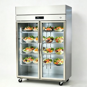 Vitrine réfrigérée à double porte vitrée pour sushis, table de préparation de salades réfrigérée avec éclairage LED pour la restauration - Product Image 1