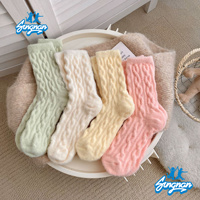 2025 Individuell bestickte Tier-Logo-Design Winter Indoor Warm Coral Fleece Cozy Fuzzy Plüsch Home Schlaf Slipper Socken