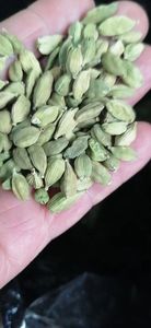 Épice Amomum Cardamomum Noix Brute Gros Fruits Verts Séchés Amomum Cardamomum à Vendre - Product Image 2