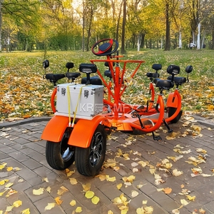 Vélo tandem à pédales standard avec fourche en acier, frein à disque, serrure à clavier pour livraison de bière et de nourriture aux pubs - Product Image 1