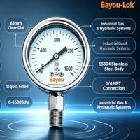 Valve Fitting SUS316L Stainless Steel Diaphragm Pressure Gauge Customize Pressure Range 1/4"NPT Thread Oil-Free Dry