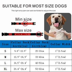 Hot Selling Comfortable Rubber Polyester Webbing 3D <b>Dog</b> Paw Pattern USB Rechargeable Pet LED <b>Collar</b> - Product Image 4