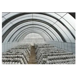 Searea-túnel para cultivo de setas