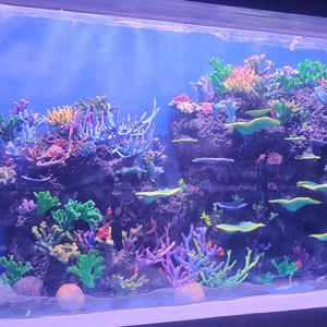 Hochklare Sofort Lieferbare Preiswerte Kratzfeste Ozeanwelt-Aquarium Acryl-Fischbecken - Product Image 3