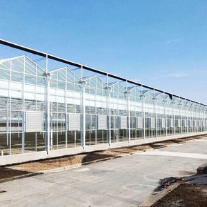 Nouvelle serre en verre de Venlo pour la plantation de fraises bleues et la culture de semences - Product Image 1