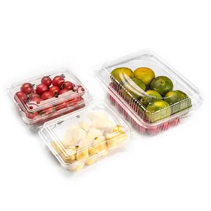 Wholesale Food Fruit Container PET Plastic Grape Strawberry Salads Container Tamper Evident Food Containers boxs