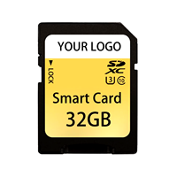 Kartu SD Programmable CID Kustom, Kartu Memori 8GB 32GB 64GB untuk GPS, Terminal POS, dan Printer Fiskal, Logo Kustom Tersedia