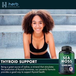 Kapsul Irish Sea Moss <span class=keywords><strong>Label</strong></span> Pribadi OEM, Suplemen Herbal Bladderwrack untuk Dewasa, Pendukung Imunitas, Bersertifikasi GMP - Product Image 2