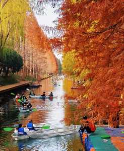 Kayaks transparents Crystal Clear, kayak de tourisme pour 2 personnes, canoë à fond transparent avec lumières LED - Product Image 4