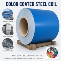 Harga Kompetitif Gulungan Baja Berlapis Warna SGCC Gulungan Baja Galvanis Pra-cat DC01 Q235 SS400 SPCC DX54D Q195 SGCH Z275 Z120