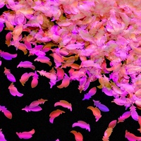 High Sparkly New Fluorescence Hellrosa Hohl stern Blumen form Glitter Glitter für Snow Globe Cup Dekoration