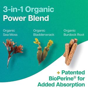 ยาต้านต่อมไทรอยด์แบบแคปซูลอาหารเสริมมอสจากทะเลซุปเปอร์ฟู้ดแบบไม่มีฟิลเลอร์ขั้นสูง - Product Image 4