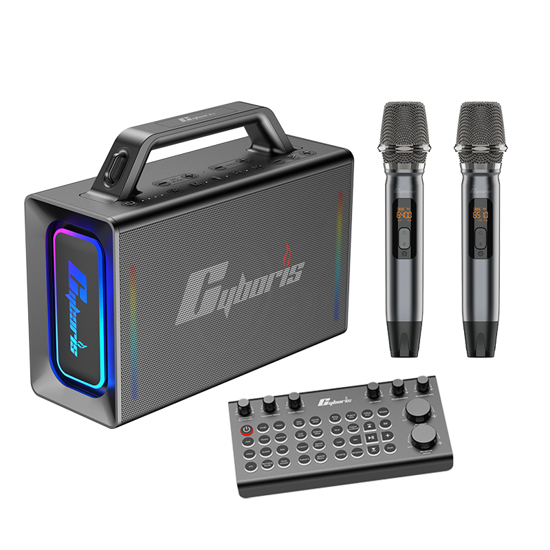 200W Portable RGB Bluetooth Karaoke Speaker – Wireless Microphone, TF Card &amp; Rhythm Lights
