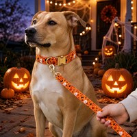 2026 Modisches Niedliches Haustier-Halsband Halloween-Thema Hundehalsband-Set Verstellbar mit Premium Abnehmbarer Metallschnalle Haustierzubehör