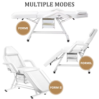 Lit multifonctionnel portatif de beauté de salon de station thermale avec le tatouage de prix usine de tabouret et la chaise faciale pour l'usage de table de massage