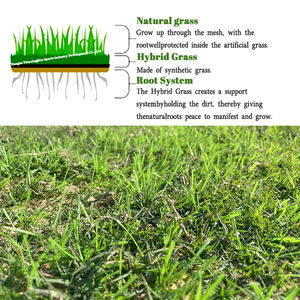 Gazon artificiel hybride PE étanche 100% Drainage et gazon d'aménagement paysager résistant aux UV pour terrain de football jardin zone pour animaux de compagnie - Product Image 2