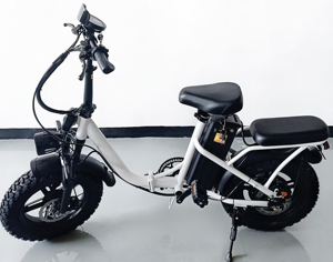 Offre Spéciale 16 pouces cadre en acier à haute teneur en carbone Style 48V 800W batterie au Lithium à grande vitesse frein hydraulique arrière vélo pliant - Product Image 5