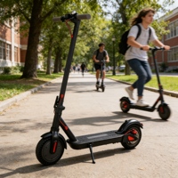 Trottinette Électrique Personnalisable et Sûre, Trottinette Pliable Stable pour Adultes, Conçue pour le Marché Européen
