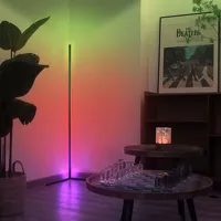 Lampe d'angle au sol, lampe d'angle LED RGB de 60 pouces, lampe de sol LED pour salon, chambre à coucher, salle de jeux