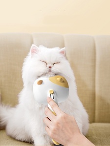 Reusable Good Quality Self Cleaning Pet Brush <b>Massage</b> Pet Hair Remover for Pet Grooming - Product Image 2