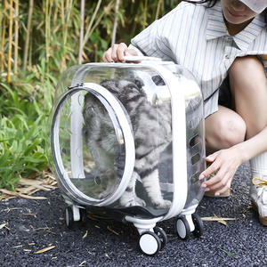 Transparenter Leichter Outdoor-Trolley für Haustiere Geräuscharme Raumkapsel-Form Atmungsaktive Katzen-Transporttasche für Katzen und Hunde - Product Image 2