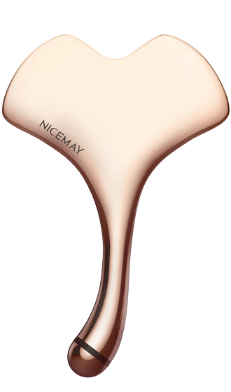 2338-กุหลาบทอง