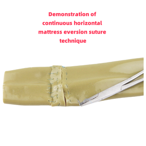 Modelo de entrenamiento de Ciencias Médicas, sutura intestinal con abrazadera de soporte para práctica de cirugía laparoscópica para estudiantes de medicina - Product Image 4