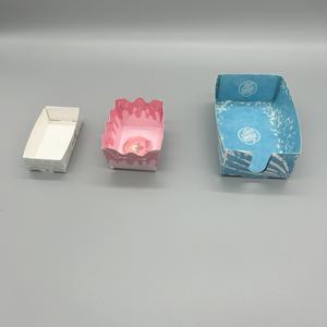 Cao Cấp Tùy Chỉnh Ice Pops Giấy Bao Bì Khay Có Thể Tái Chế Chống Rò Rỉ Thực Phẩm An Toàn Thiết Kế Cho Số Lượng Lớn Giao Hàng Lưu Trữ - Product Image 3