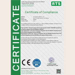 LYBURCHI in argento Sterling 925 placcato in oro 18K 2025 simbolo gioiello di tendenza <span class=keywords><strong>Hamsa</strong></span> stella di David Chai CZ collana con ciondolo - Product Image 4