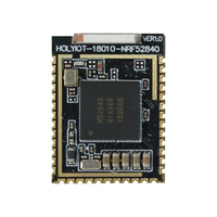Modul Holyiot Nordic NRF52840 Bt Energi Rendah untuk Ble Mesh