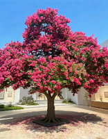 Arbre artificiel de glycine ultra-réaliste avec tronc en bois naturel, très demandé pour les halls d'hôtels, villas, restaurants, couloirs et aménagements paysagers