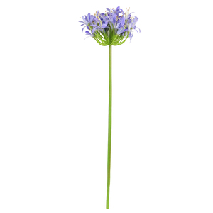 ก้านดอกอะกาแพนทัสประดิษฐ์ยาว 80 ซม. หลายสี ก้านดอกอะกาแพนทัสปลอม - Product Image 4