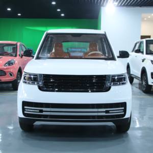 <span class=keywords><strong>Vente</strong></span> flash, SUV électrique compact à haute puissance, nouvelle énergie, véhicule électrique pur, voiture à énergie nouvelle - Product Image 2