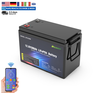 EU Tax Free Deep Cycle 100AH 200AH 300AH 12V Lithium-Ionen-LiFePO4-Batterie 1kW 2,5 kW 3,8 kWh Freizeit-Marine-Caravan-Boots batterie - Product Image 1