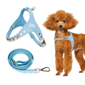 Set Harnesses Anjing Mewah Bergaya Kartun Sport dari Factory Pet Supplier, Pola Solid yang Dapat Dipersonalisasi, Tali Kulit PU Anti Air, Mudah Digunakan - Product Image 1
