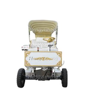 Carruaje de caballos turístico blanco personalizado modelo eléctrico chino económico - Product Image 6